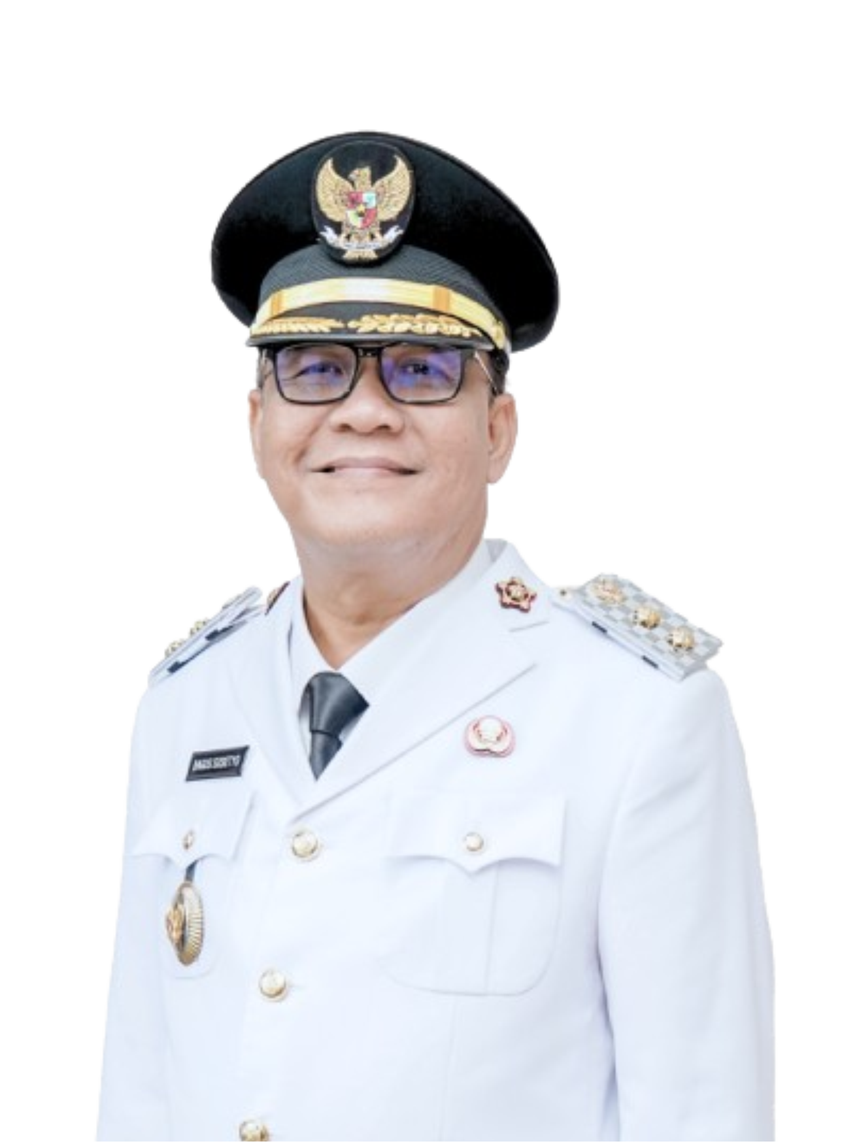 Wakil Walikota