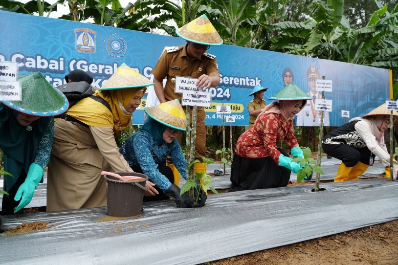 TP PKK Balikpapan Laksanakan Aksi Gertam Cabai Serentak Bersama 560 Kabupaten/Kota se-Indonesia