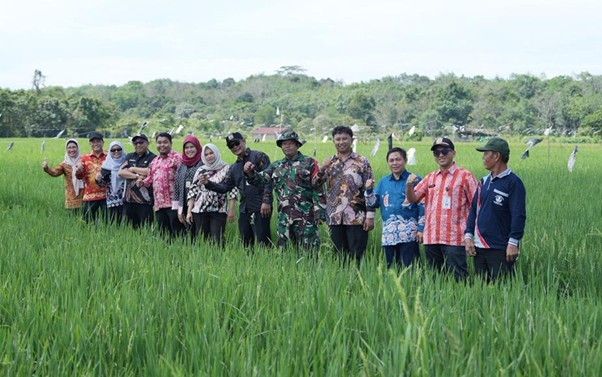 Pemkot Balikpapan Kembangkan Sawah Gunung Binjai untuk Perkuat Ketahanan Pangan