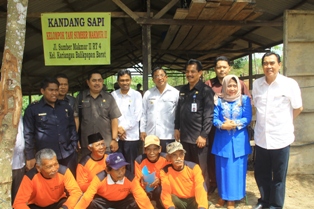 Pemkot Serahkan 115 Sapi untuk Kelompok Tani Peternak